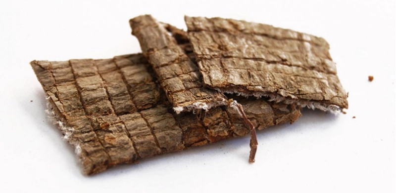 Cortex eucommiae Ulmoides