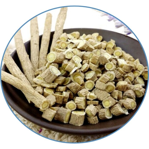 Radix astragali seu hedysari