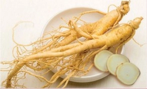 Radix codonopsis pilosula