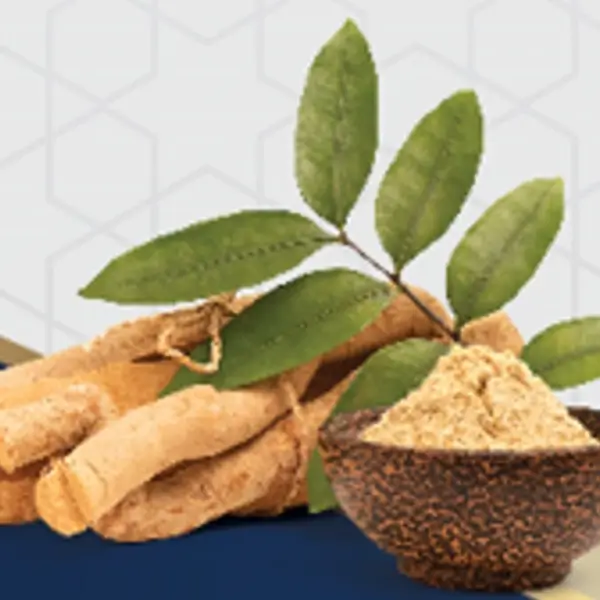 Alirex ingredient : radix eurycoma longifolia
