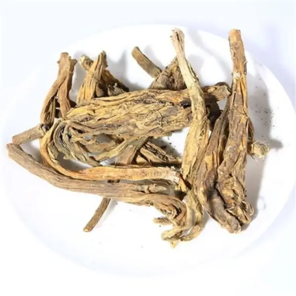 Radix gentiana macrophylla