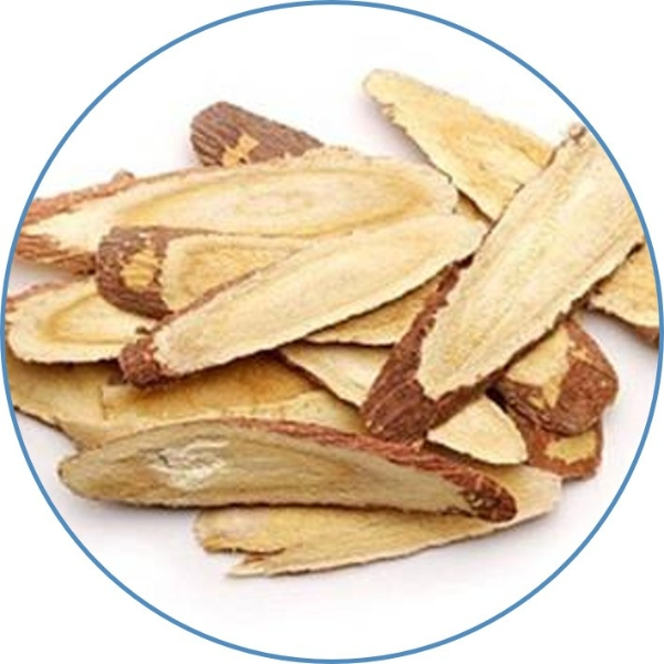 Radix glycyrrhiza gelabra