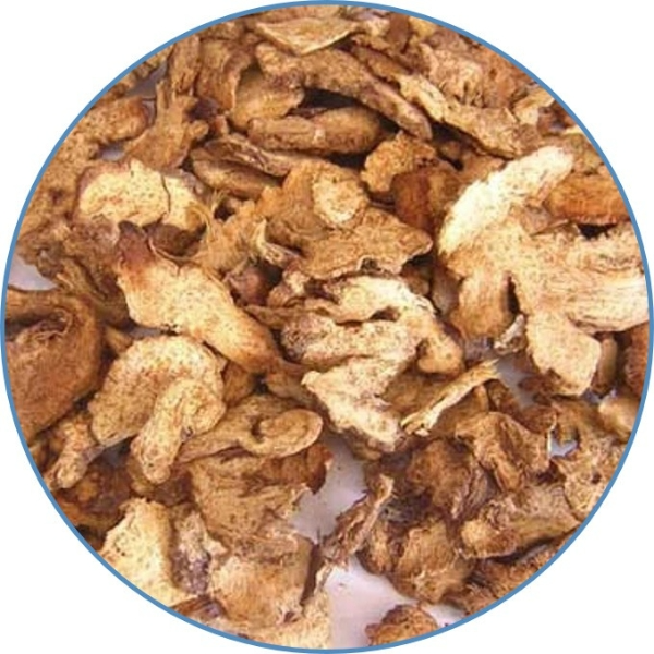 Rhizoma atracylodis macrocephalae