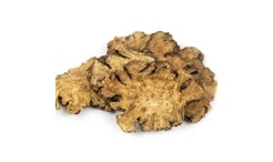 Rhizoma logustici chuanxiong