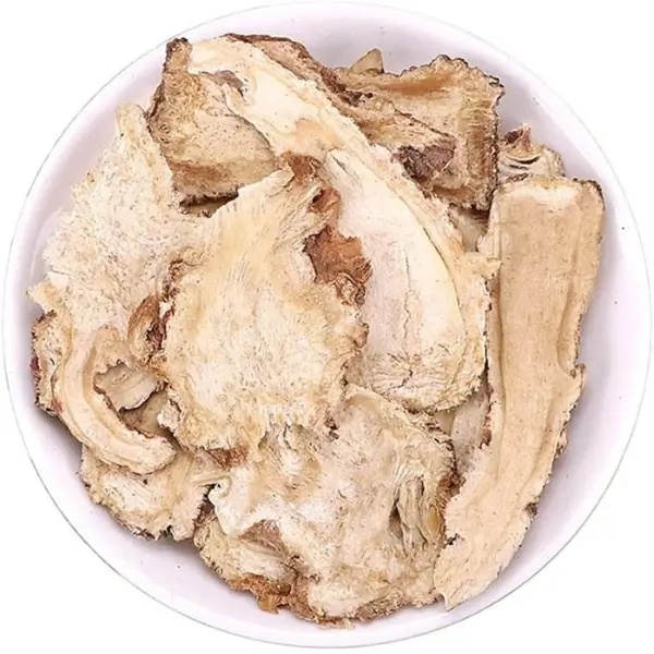 radix angelica dahurica