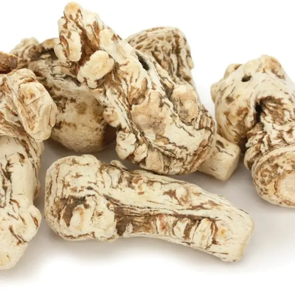 radix angelica sinensis