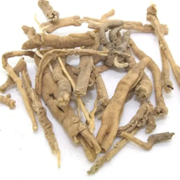 radix polygala tenuifolia