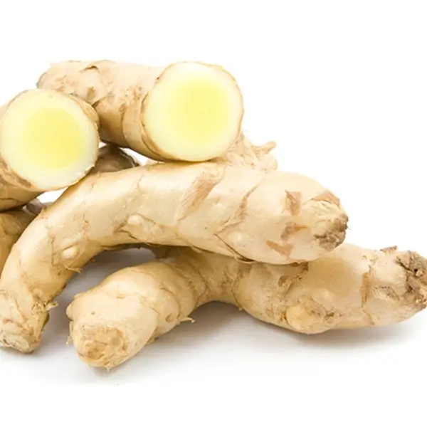 rhizoma curcuma zedoria