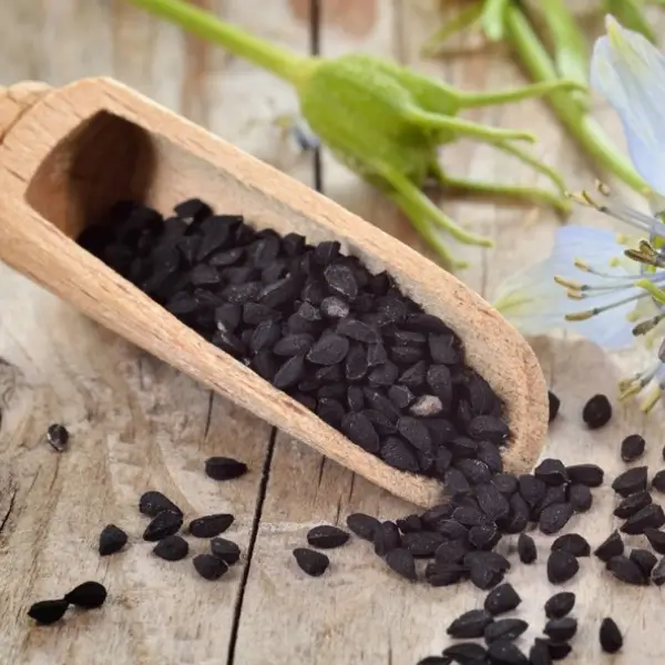 semen nigella sativa
