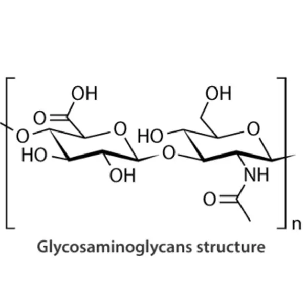 Glycosaminoglycans