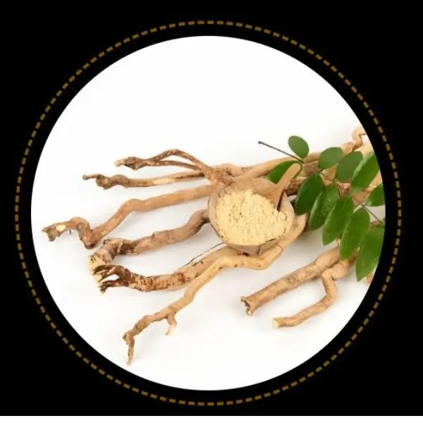 Dozerex 5 dozerex ingredients