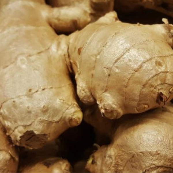 Tensonol 30 rhizoma zingiber officinale